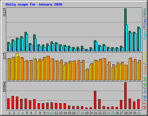 Daily usage for January 2026