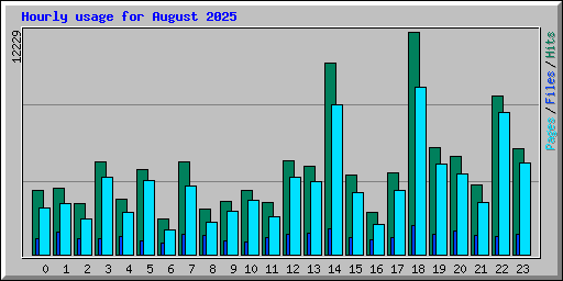 Hourly usage for August 2025