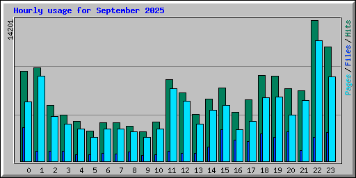 Hourly usage for September 2025