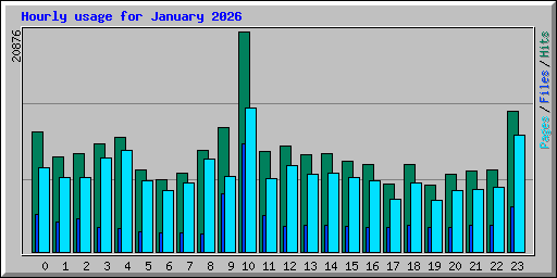 Hourly usage for January 2026