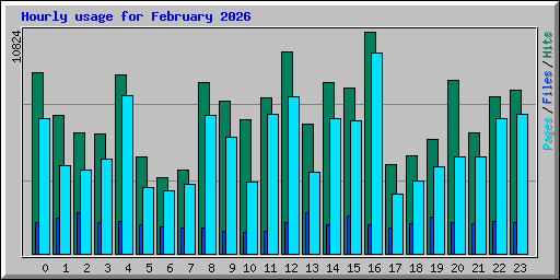 Hourly usage for February 2026