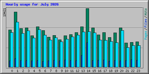 Hourly usage for July 2026