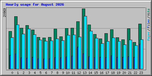 Hourly usage for August 2026